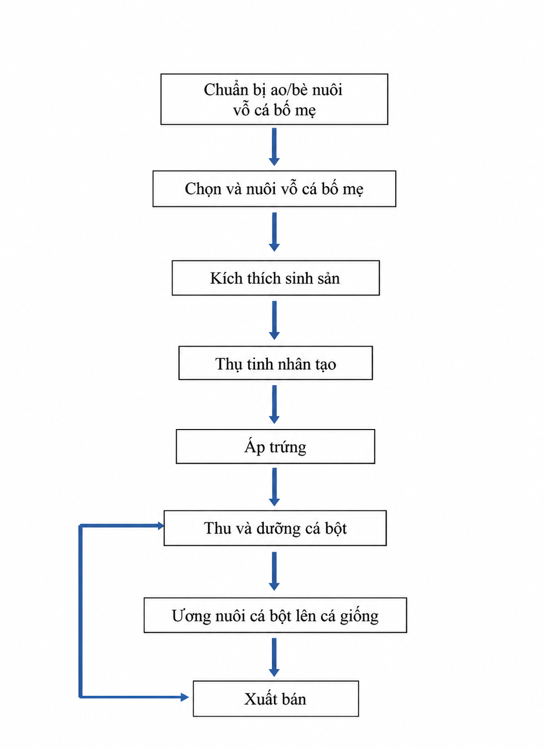 Sơ đồ quy trình sản xuất giống cá lăng đuôi đỏ